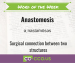 Word of the Week Anastomosis.jpg