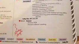 R11.0.webp
