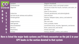 Body Systems.png