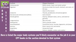 Body Systems.webp
