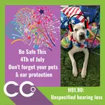 July 4th post .webp