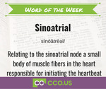 Word of the Week Sinoatrial.jpg