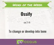 Word of the Week Ossify.webp