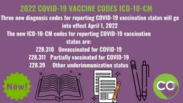 2022 new ICD codes.webp