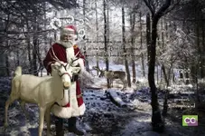 CCO HOLIDAY 19.webp