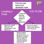 ICD10 locate code.webp