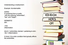 Acrodermatitis.webp