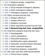 Alopecia.webp