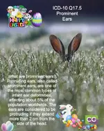 CCO easter 22.2.webp