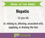Word of the Day Hepatic (1).webp