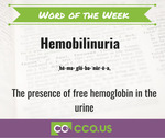 Word of the Week Hemobilinuria 6 23.jpg
