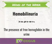 Word of the Week Hemobilinuria 6 23.webp