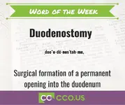 10 7 Word of the Week Duodenostomy.webp
