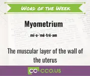 _Word of the Week Myimetrium 126.webp