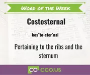 _Word of the Week Costosternal 2 6 23.webp