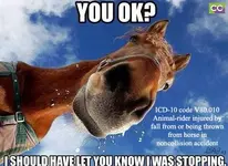 u ok horse icd LAJ CCO.webp