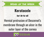 _Word of the Week Keratocele 3 6 23.jpg