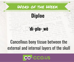 _Word of the Week Diploe 6 1 23.jpg
