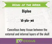 _Word of the Week Diploe 6 1 23.webp