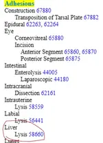 1725429431617.webp 1725429431617.webp