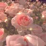 RaundenaJ_1437