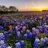 Christel_60231